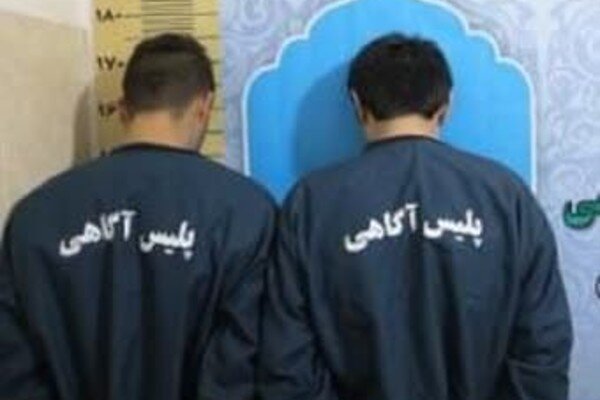 2 سارق خفتگیر در عباس آباد دستگیر شدند