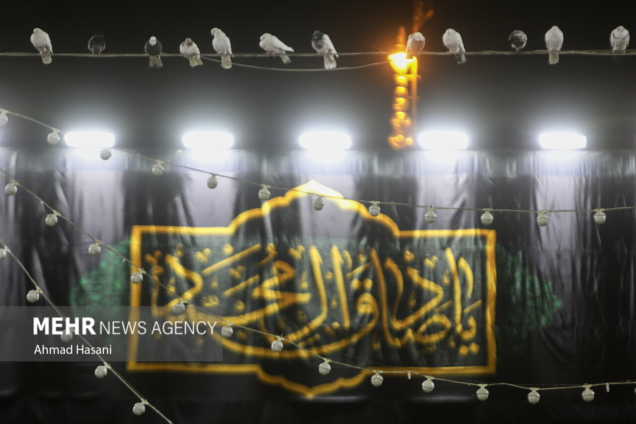 حضرت امام جعفر صادق (ع) از برجسته ترین دانشمندان اسلام است