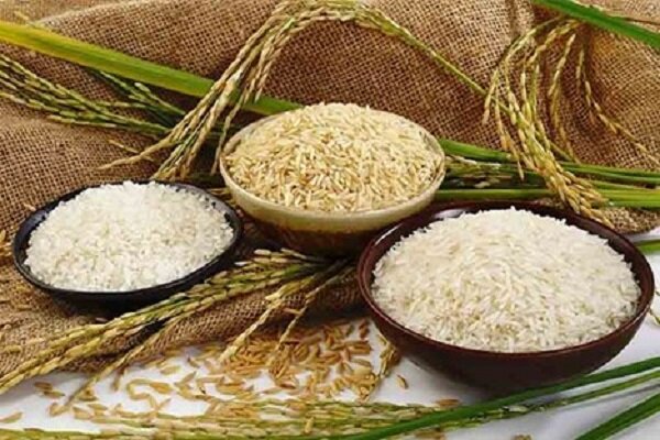 لزوم نمایش اقتدار با بهره‌گیری از نیروهای توانمند