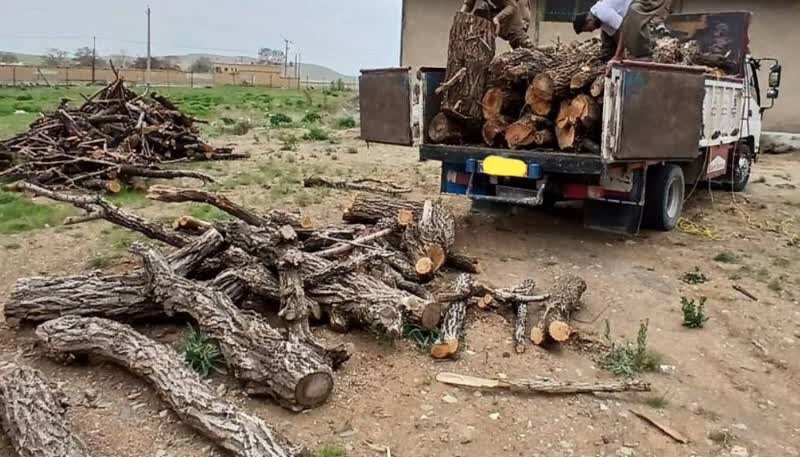 3 قاچاقچی چوب در آمل دستگیر شدند