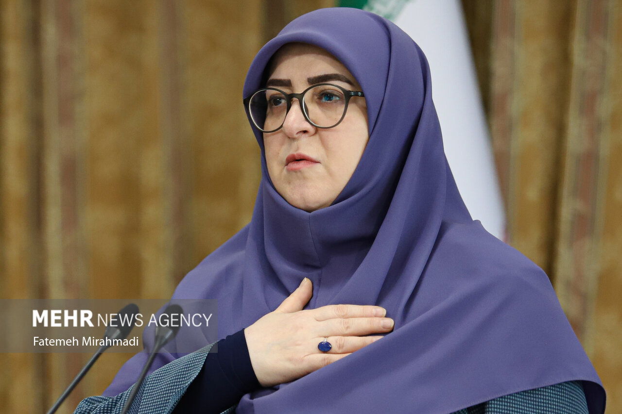 واکنش سخنگوی دولت به گرما؛ ترک محل سخنرانی