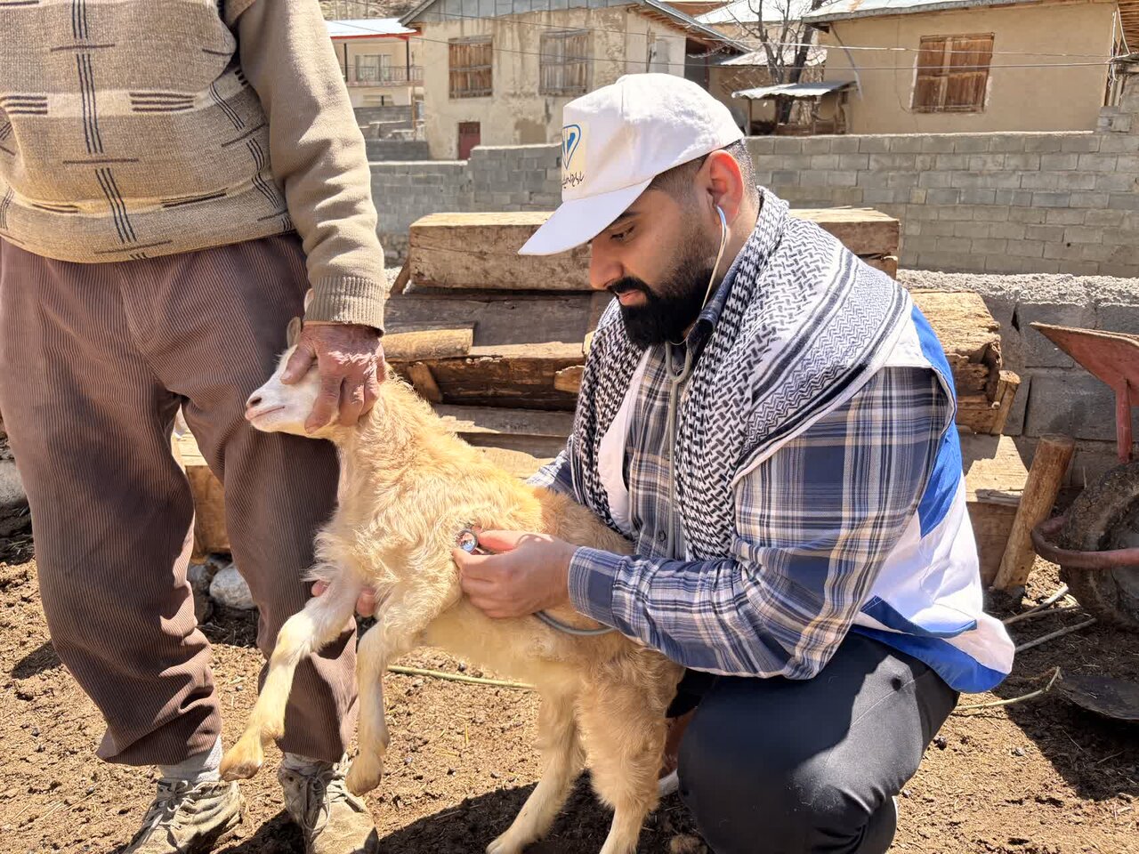 رزمایش دامپزشکی در 11 روستای رامسر برگزار شد