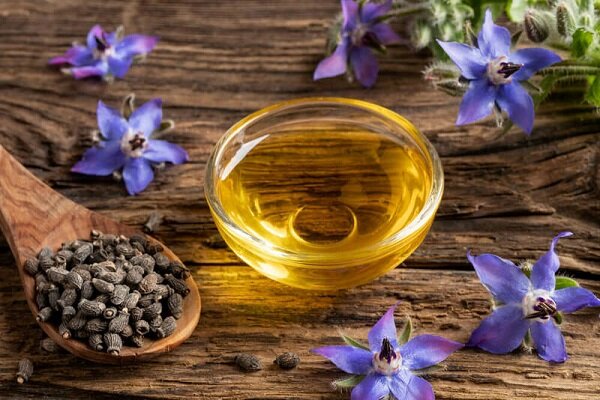 برداشت بیش از 10 هزار تُن گیاهان دارویی در گیلان