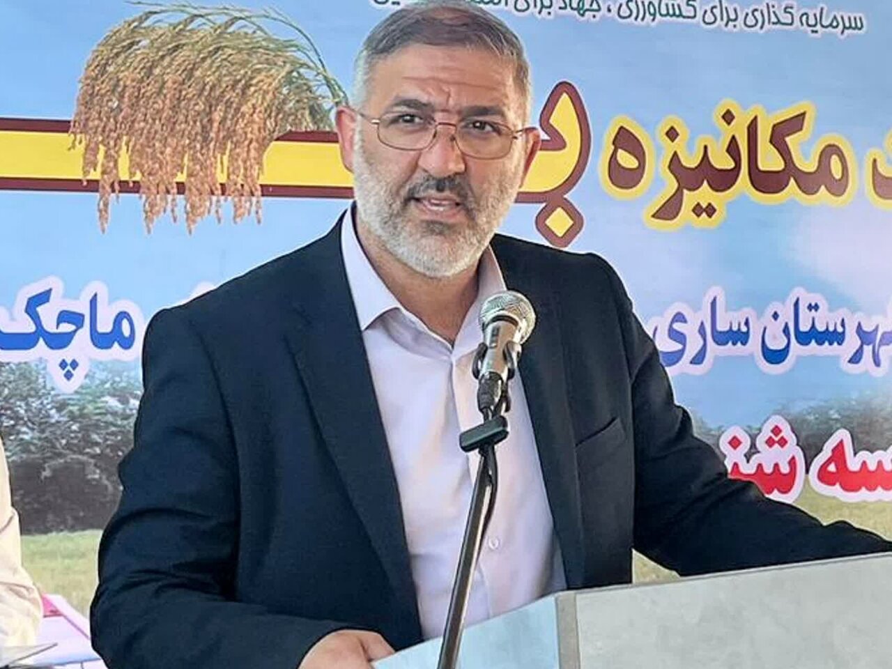 پیش بینی برداشت 150 هزار تن شلتوک در مزارع ساری