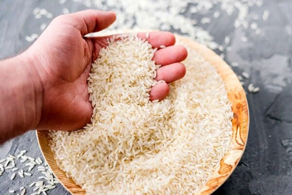 گیلان دومین تولیدکننده برنج کشور است؛ تولید سالانه 750 هزار تُن برنج