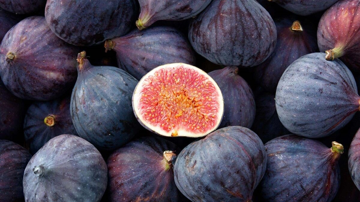 شهادت برای محمدرضا شیرین بود؛ نخبه ای که تیر به قلب دشمن زد
