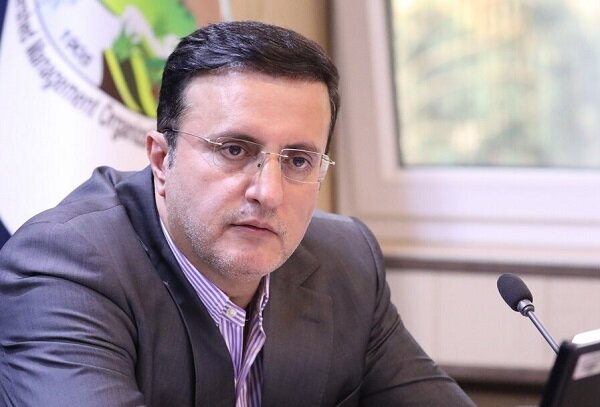 تیموری: 2 هزار هکتار از اراضی ملی فومن به بخش خصوصی واگذار شده است