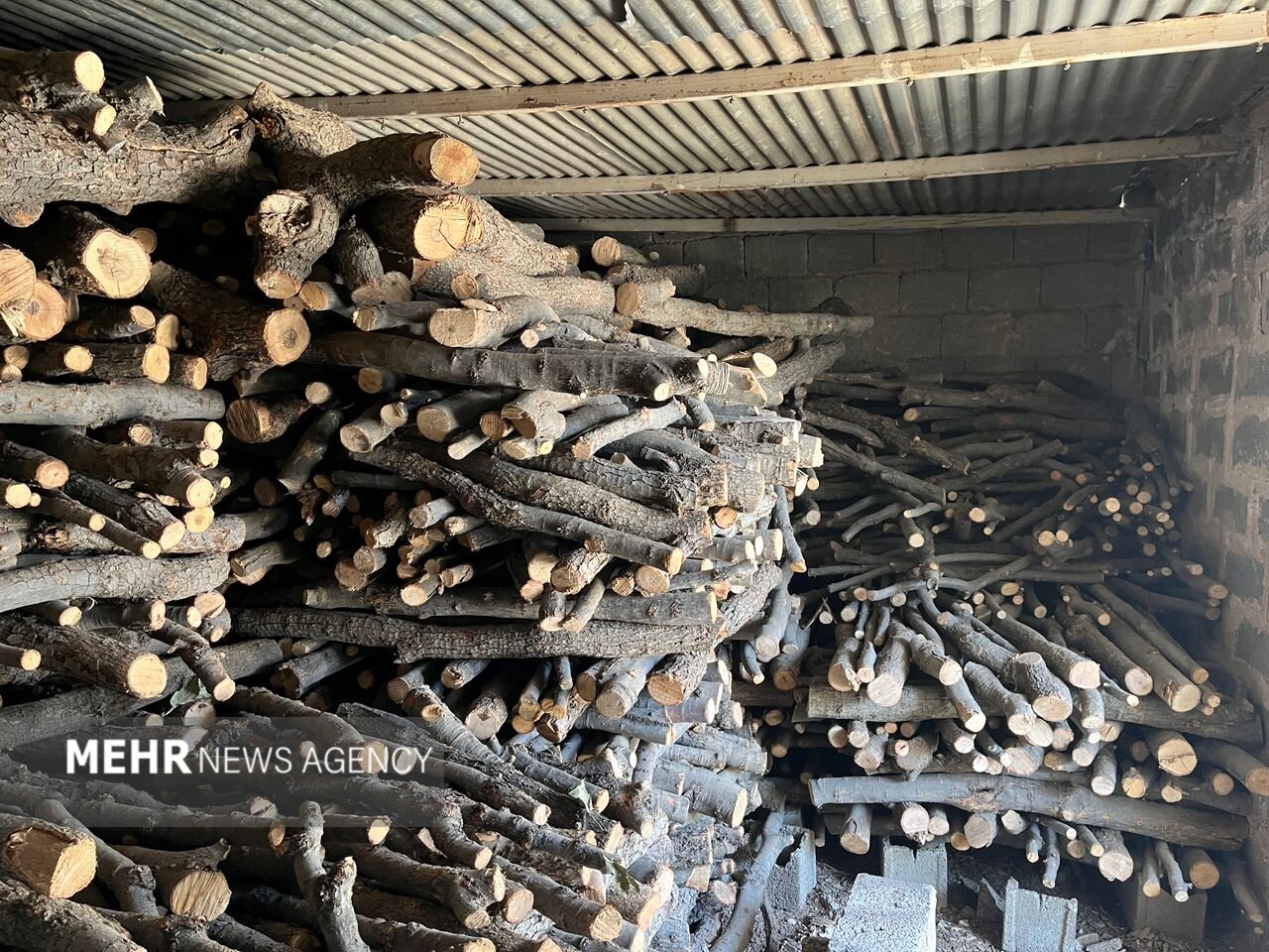 شناسایی و توقیف قاچاق چوب در روستای انگتارود