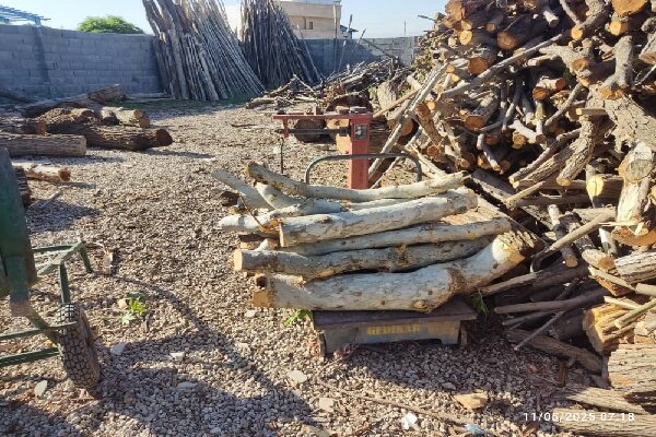 دستگیری 595 متخلف منابع طبیعی در مازندران؛ تعارفی با سودجویان نداریم