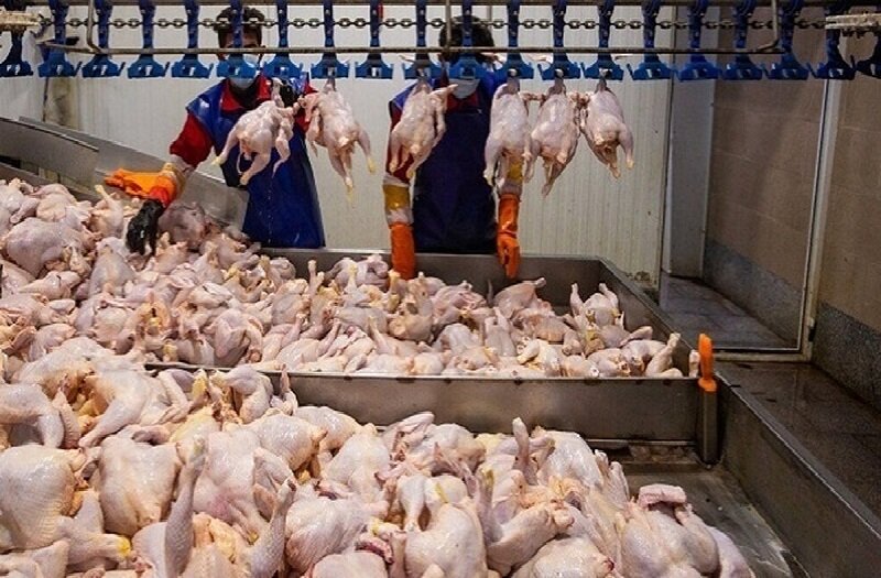 ارسال 660 تن گوشت مرغ در یک روز از مازندران به بازار تهران