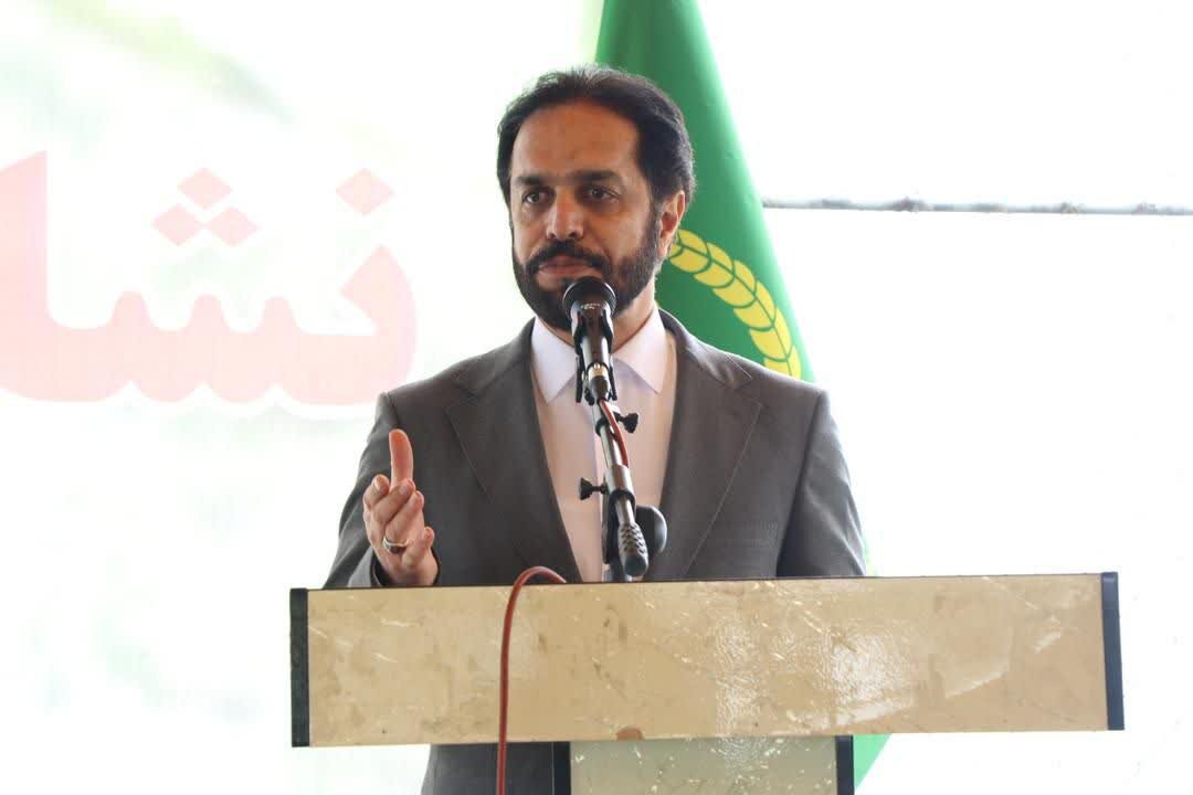 مازندران به کارگاهی از آفرینندگی تبدیل شده است