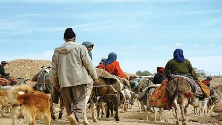 حیدری: طرح جدید حمایت از دامداران و عشایر کشور اجرا می شود