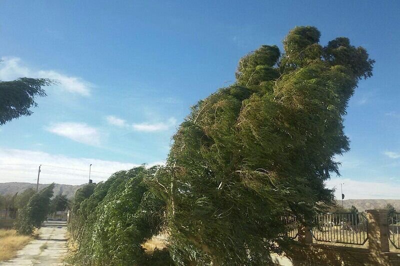 وزش باد شدید در گلستان؛سرعت در علی‌آباد به بیش از75کیلومتر برساعت رسید