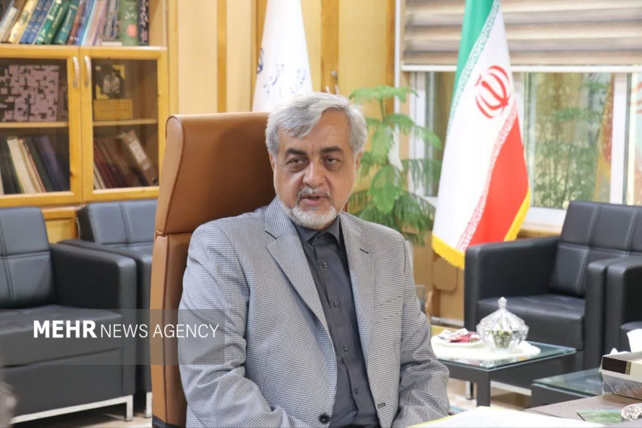 میرغضنفری: بیمه‌ها در ارتقای امنیت اجتماعی مردم نقش کلیدی دارند