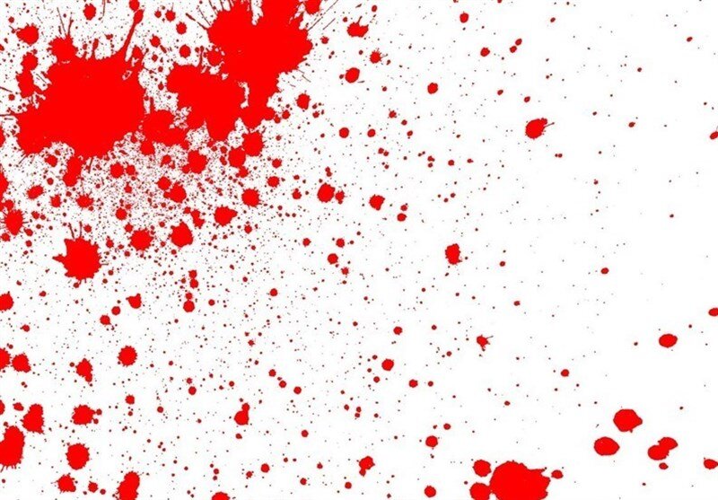 حسن‌زاده: 3 نفر در پرونده قتل خواننده مازندرانی دستگیر شدند