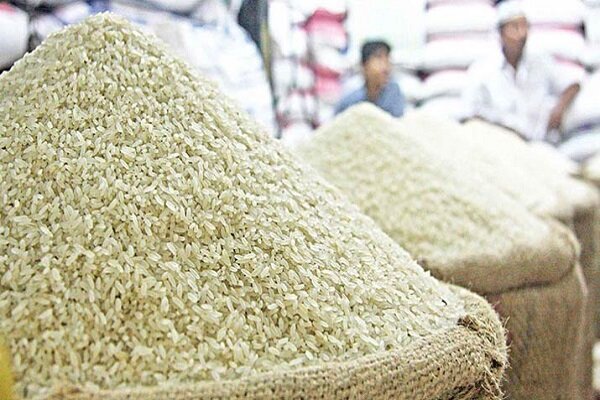 یونسی: نقش شرکت‌های بزرگ در نوسان بازار برنج مازندران پررنگ است