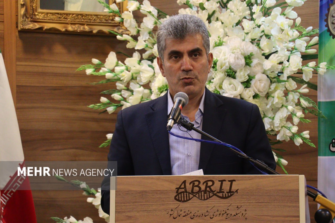 محمدی:جشنواره‌های کشاورزی فرصتی برای معرفی ظرفیت‌های پنهان گیلان هستند