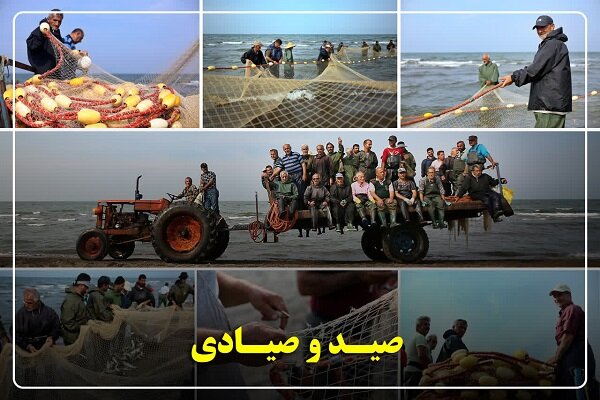 گیلان پیشتاز احیای ذخایر آبزی؛ صید ماهیان استخوانی 40 درصد رشد کرد