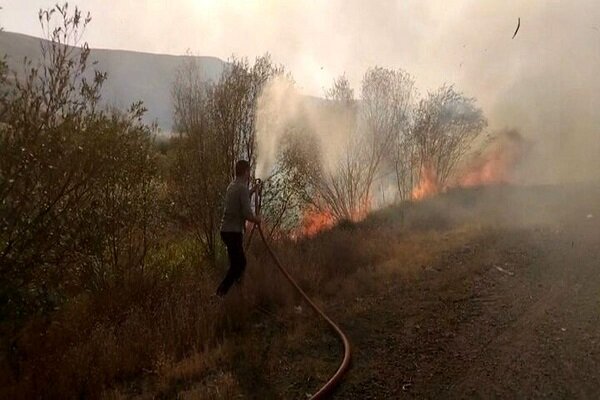 آتش‌سوزی جنگل‌های آزادشهر و مینودشت دوباره شعله‌ور شد
