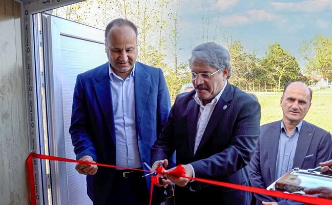 لاهیجان زاده: دلایل مرگ و میر فوک خزری به بررسی های بیشتری نیاز دارد