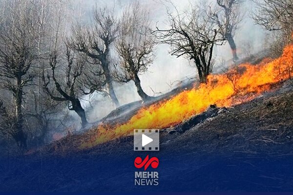 مهار آتش‌سوزی الیت و پیشروی عملیات تا اطفای کامل
