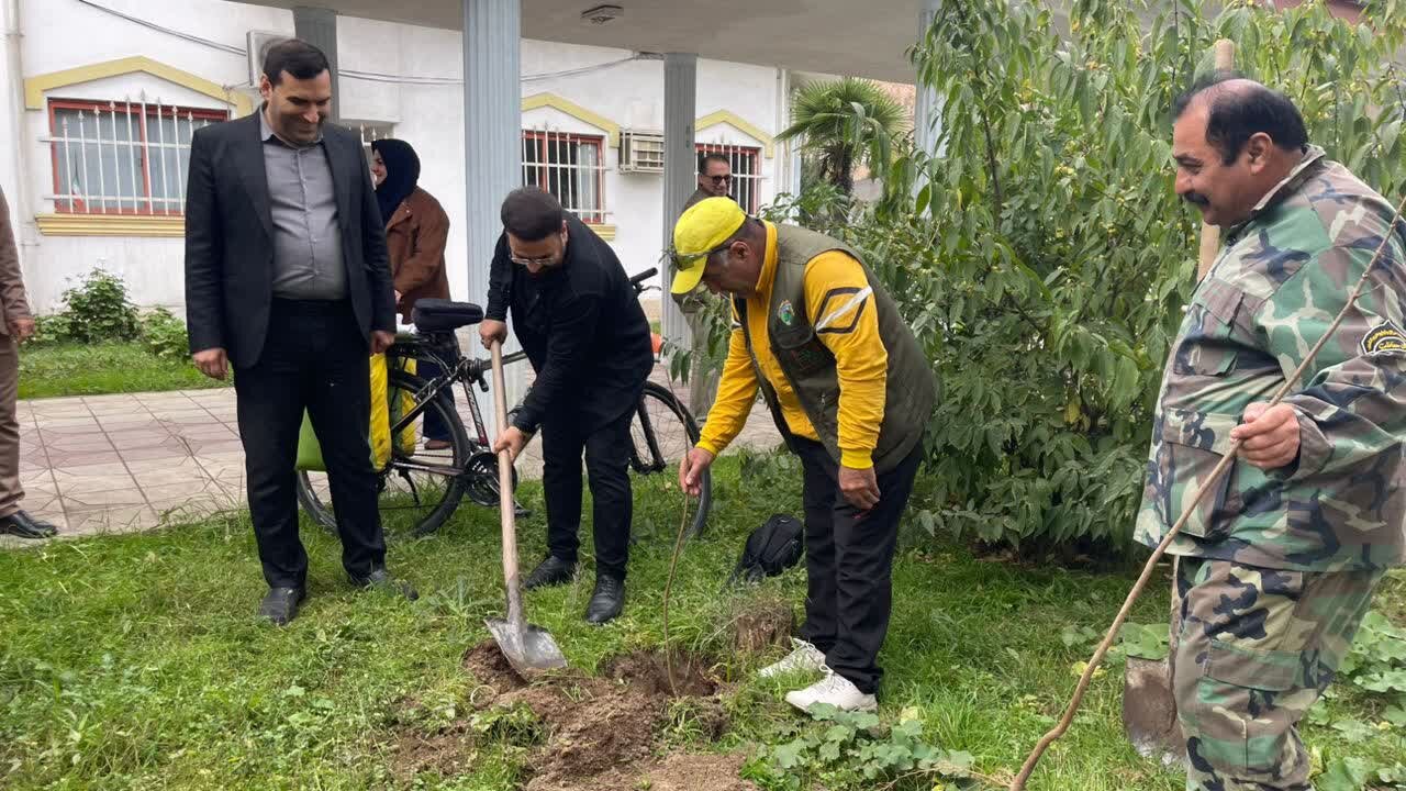 12 اصله نهال به یاد شهیدان خبرنگار در آستارا غرس شد