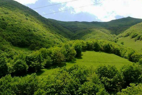 اینفوگرافیک؛ پوشش یک‌میلیون هکتاری منابع طبیعی گلستان