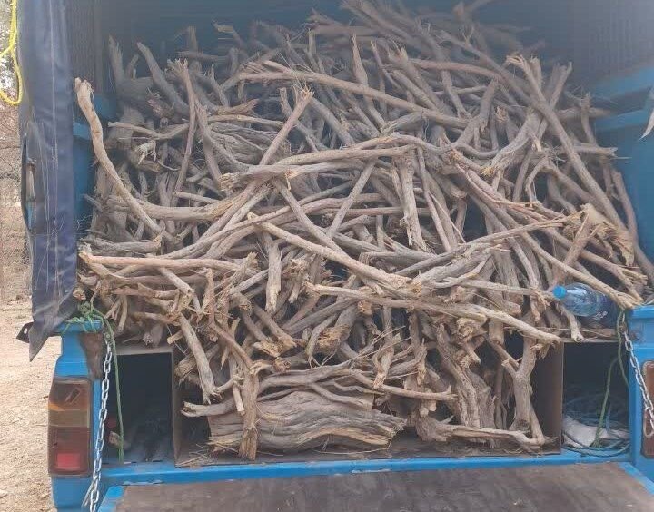 توقیف 3 خودروی حامل چوب و هیزم جنگلی قاچاق در شرق مازندران