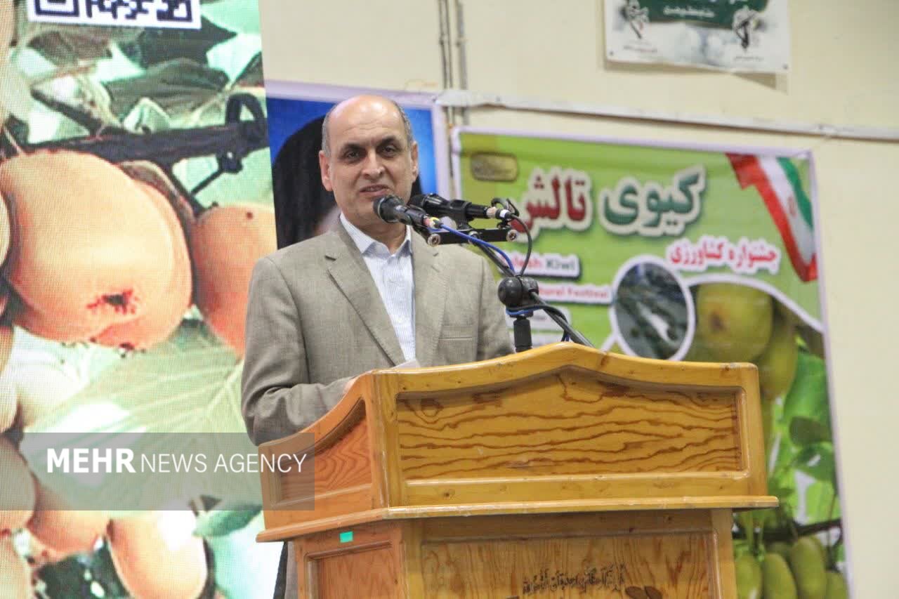 حق شناس: 200 هزار تن کیوی در گیلان برداشت می‌شود