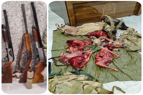 51 قبضه سلاح شکاری و لاشه 28 پرنده وحشی در مازندران کشف شد
