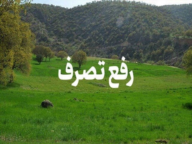 اینفوگرافیک؛ کشت گندم و جو پاییزه در 14 هزار هکتار از زمین‌های گیلان