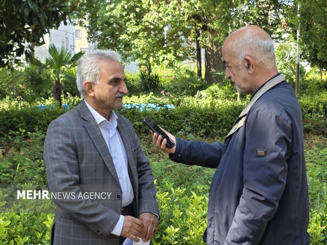جهانساز: 66 درصد از مطالبات چایکاران شمال کشور پرداخت شده است