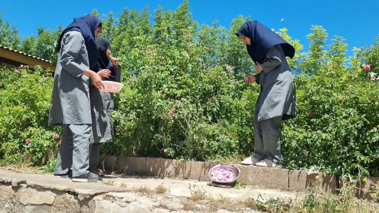 عطر گل و گلاب در مدارس کجور؛ معلم و دانش‌آموز هر دو باغبان شدند