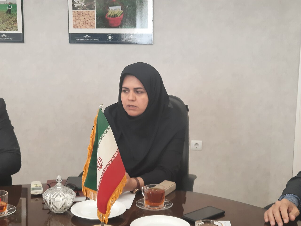 شیخ: ضریب نفوذ ارقام اصلاح‌شده در گلستان به 98 درصد رسیده است
