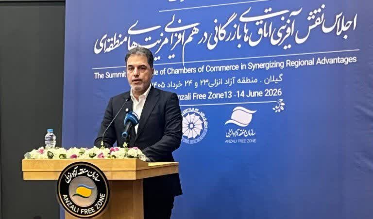 باقری: 6 گلوگاه تجاری در استان‌ های شمالی کشور شناسایی شده است