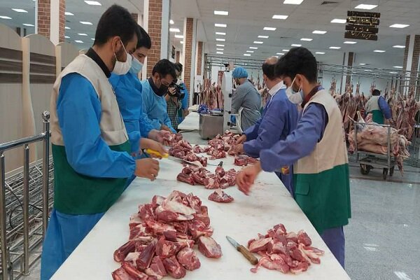 رشد 67 درصدی نذورات قربانی در گلستان