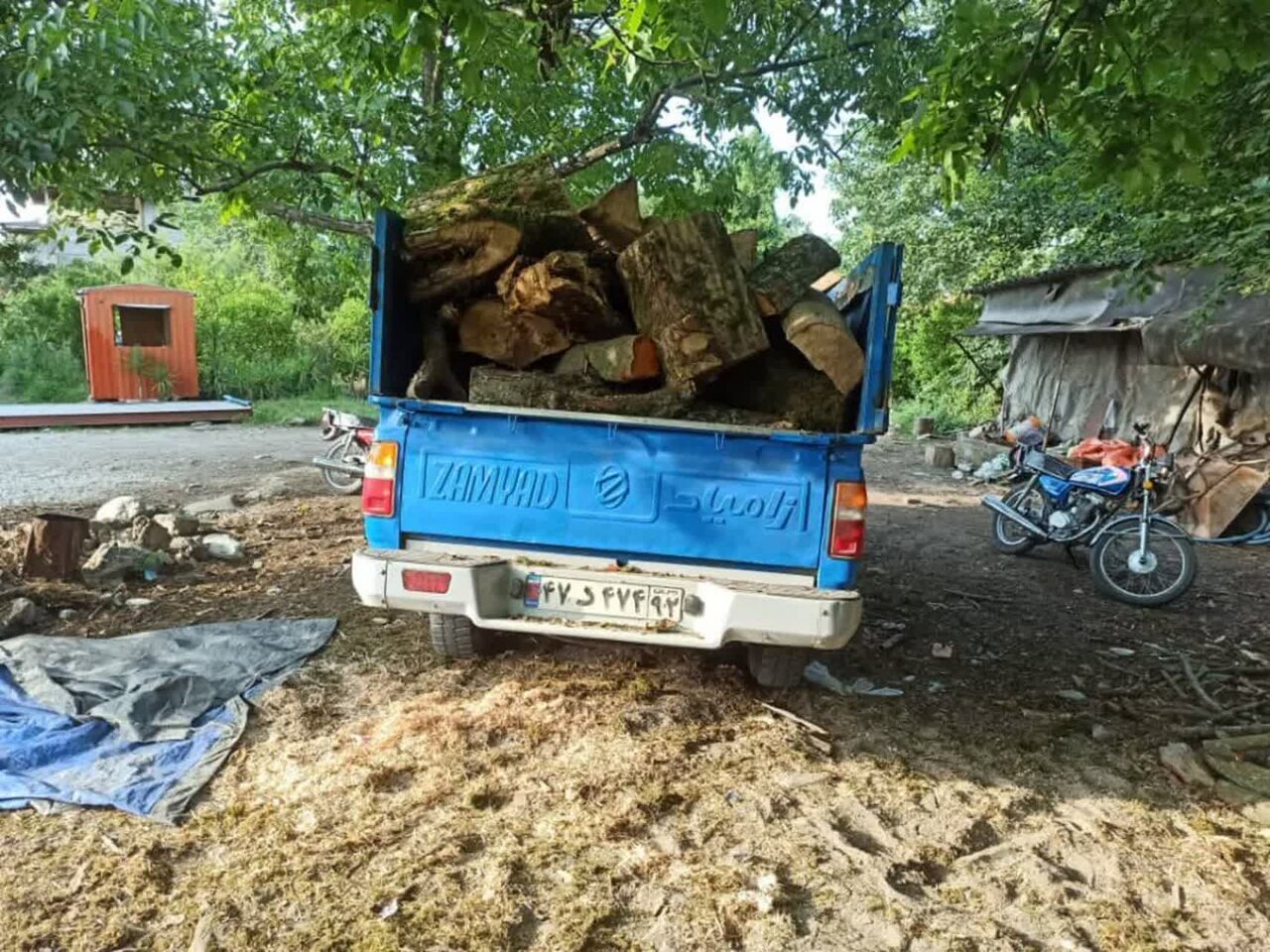 توقیف 3 خودروی حامل چوب قاچاق در بابل و آمل