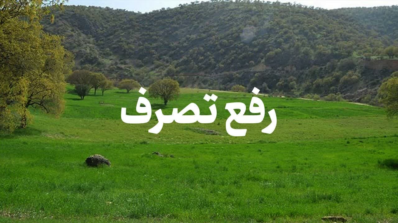 5 هکتار از اراضی ساحلی در خشکبیجار رشت رفع تصرف شد