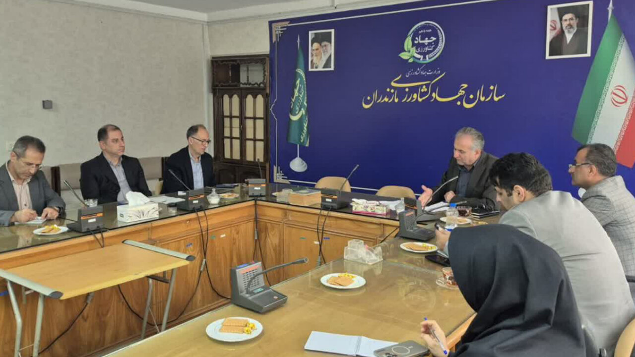 3.5 میلیارد یورویی سرمایه‌گذاری در کشاورزی مازندران شناسایی شد