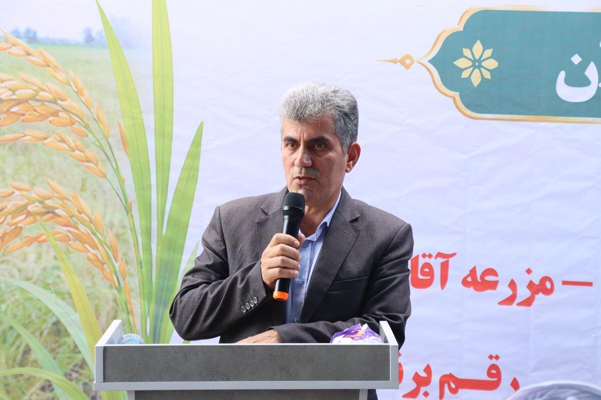 پیش‌بینی برداشت مکانیزه 217 هزار هکتار از شالیزارهای گیلان