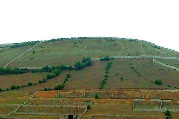 اراضی شیب‌دار گلستان؛ از کانون بحران تا موتور محرک اقتصاد