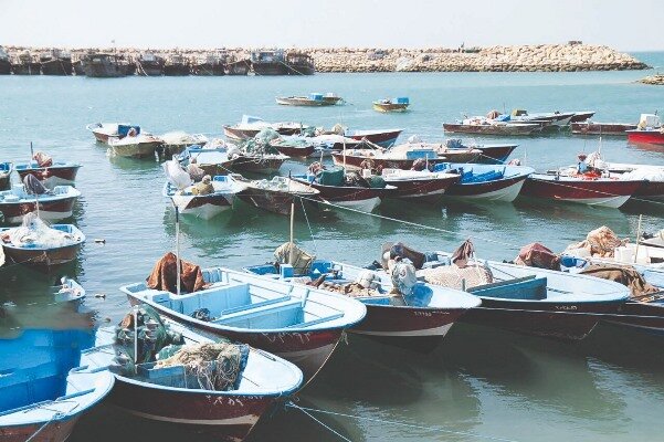 روایت قصه جنوب از شمال؛ صیاد درد دریا را می فهمد