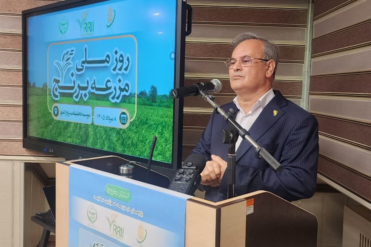 گل محمدی: سالانه 18 میلیون مترمکعب آب با ضایعات برنج هدر می رود
