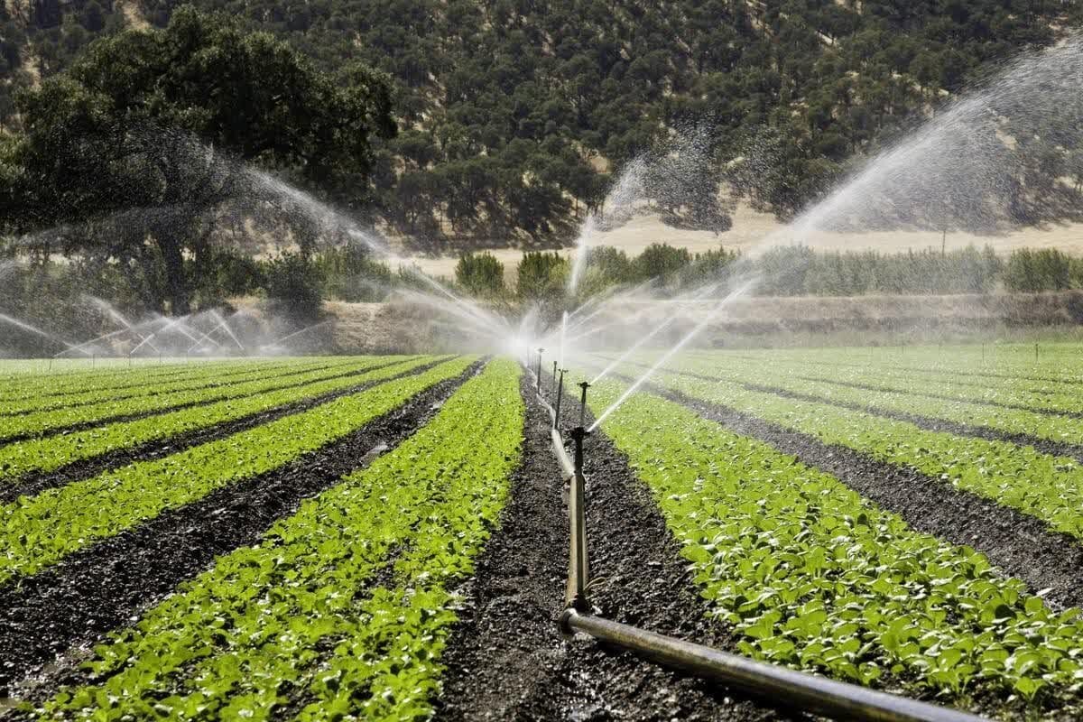 کمبود بودجه؛ مانعی برای اجرای طرح‌های نوین آبیاری در گلستان
