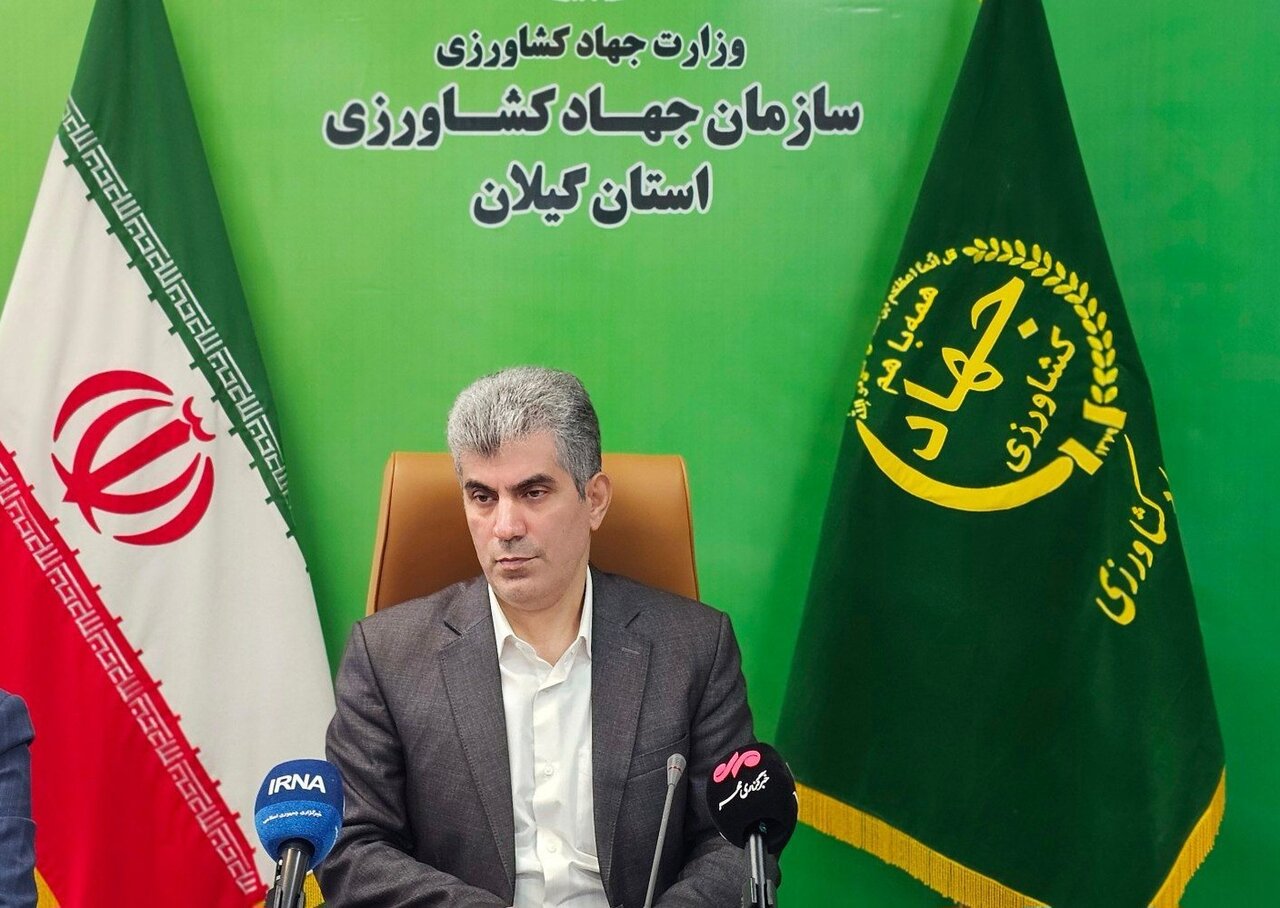 محمدی سالانه 6.6 میلیون تن محصول کشاورزی در گیلان تولید می شود