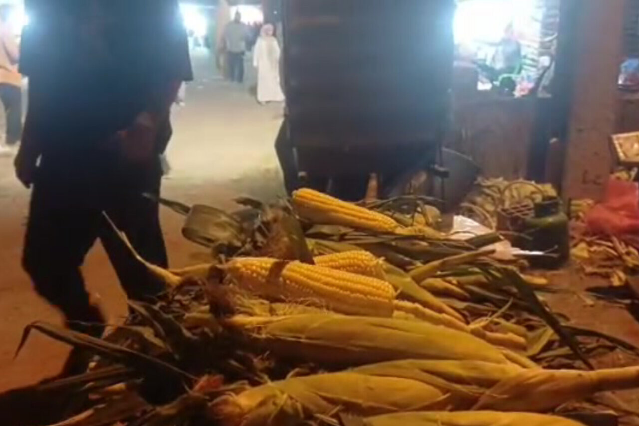 جشنواره ملی شیر بلال در سیمرغ