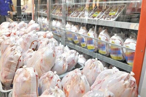 تیموری: ادعای توزیع مرغ منجمد فاسد در مازندران کذب است