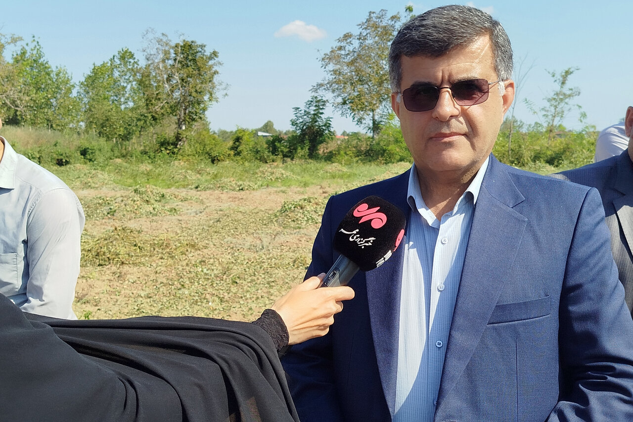 حیدری نژاد: 80 درصد بادام‌زمینی گیلان در آستانه اشرفیه کشت می‌شود