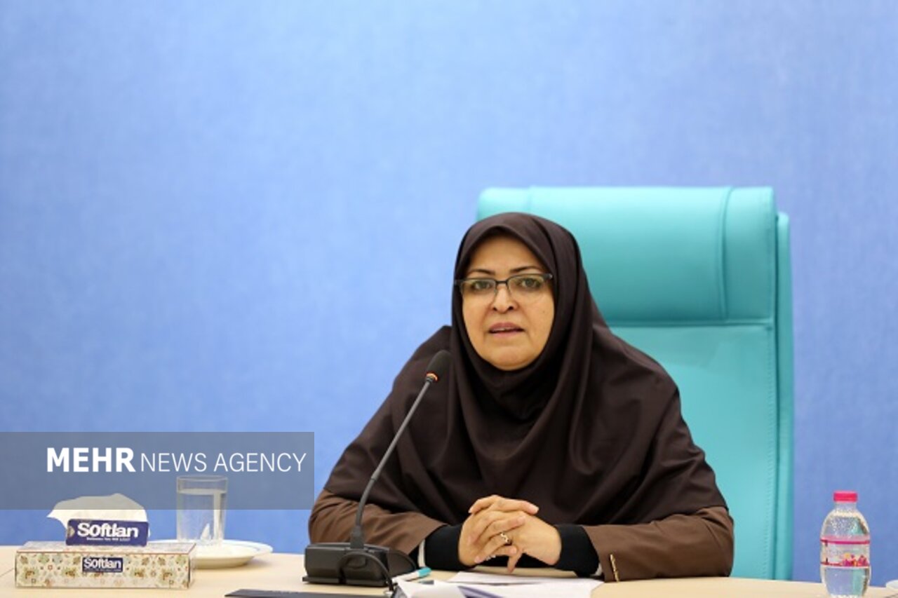 انصاری: صادرات را برای تولیدکنندگان قانونمدار تسهیل می‌کنیم