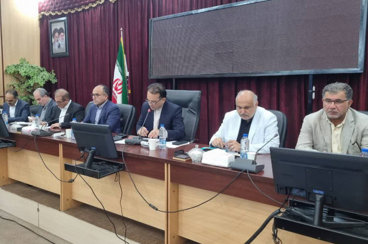 ارزیابی بیمه صنعتگران صنایع‌دستی به وزارت میراث‌فرهنگی سپرده شد